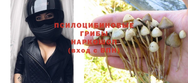 мет Аркадак