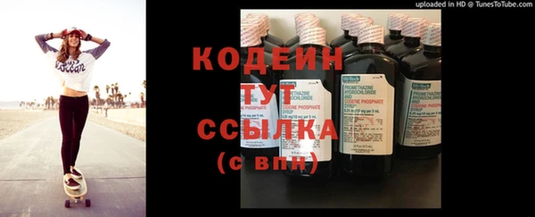 прущие грибы Арсеньев