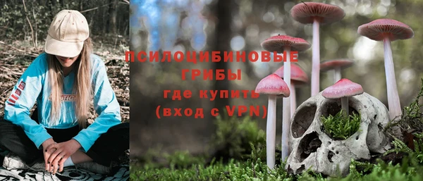 прущие грибы Арсеньев
